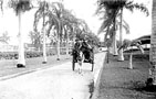 2 men on donkey cart