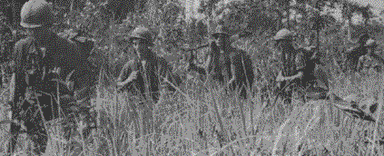 Bill Olive, Alpha Co., in elephant grass south of Razorback Mountains