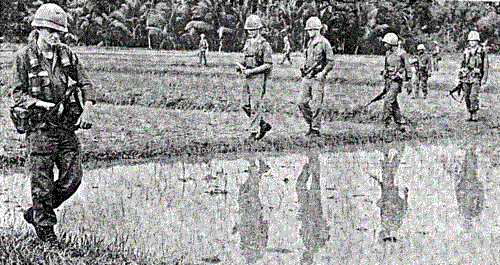 2/14th Patrolling in Rice Paddies