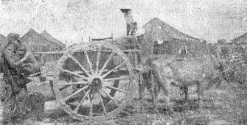 Oxcart