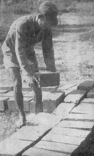 Drying bricks