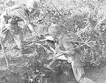 Climbing to dry ground