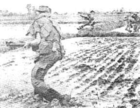 2/14th Recon crosses paddies near Trung Lap