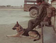 Unknown scout dog and handler