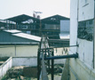 Sugar Mill - processing buildings