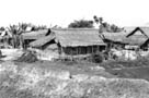 Vietnamese houses