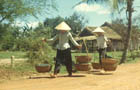 Women with baskets