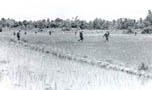 Near Cambodian border